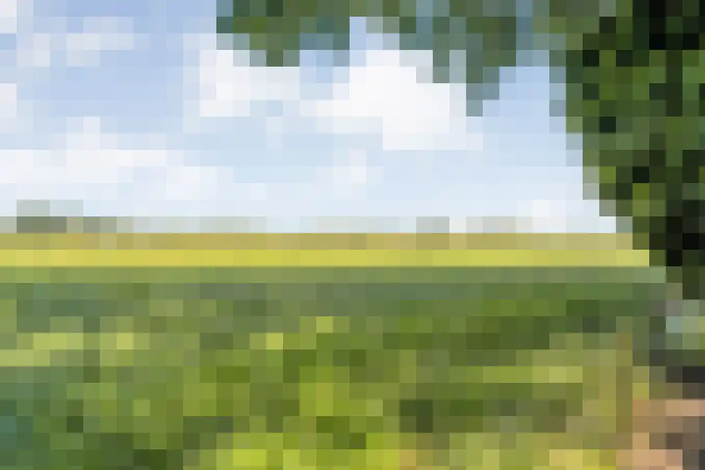 Haansweg 1 Raalte thumbnail 72