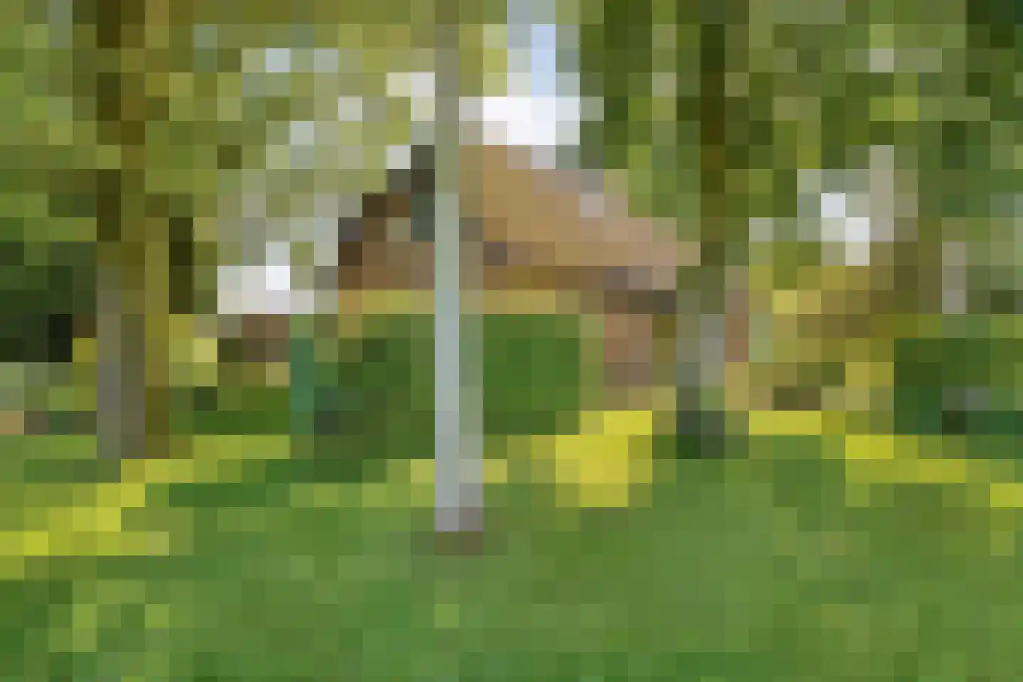 Haansweg 1 Raalte thumbnail 73