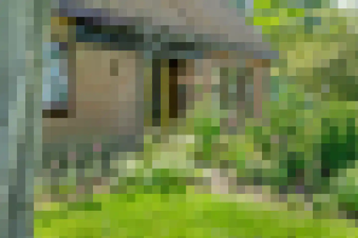 Haansweg 1 Raalte thumbnail 74