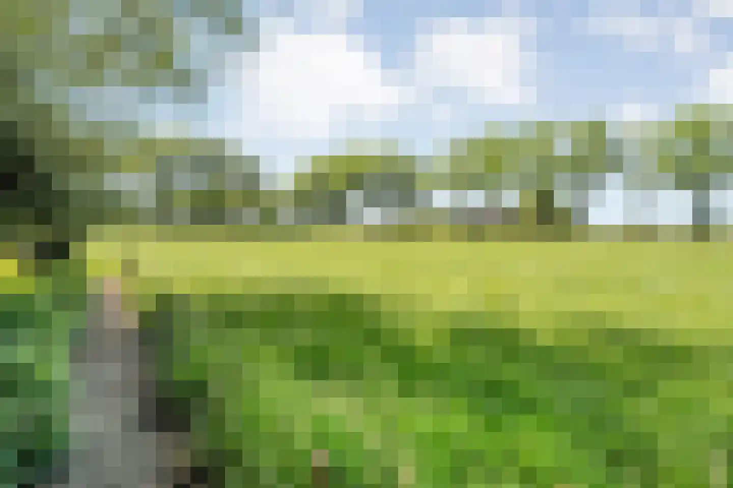 Haansweg 1 Raalte thumbnail 75