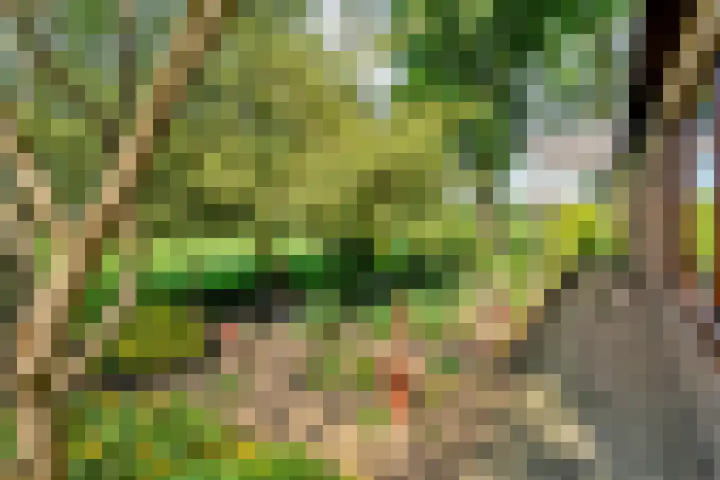 Haansweg 1 Raalte thumbnail 76