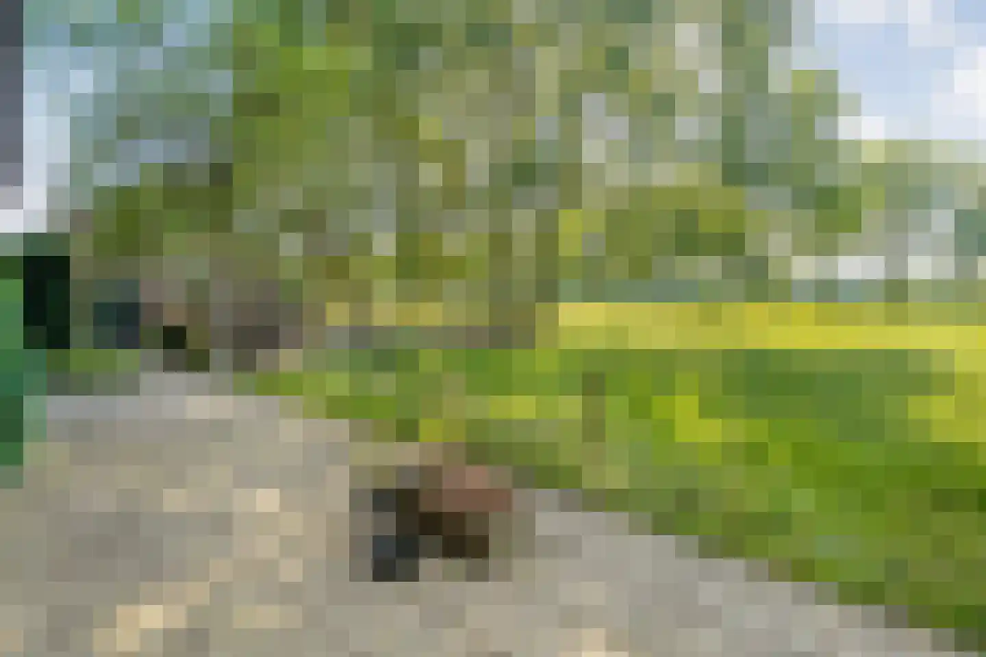Haansweg 1 Raalte thumbnail 77