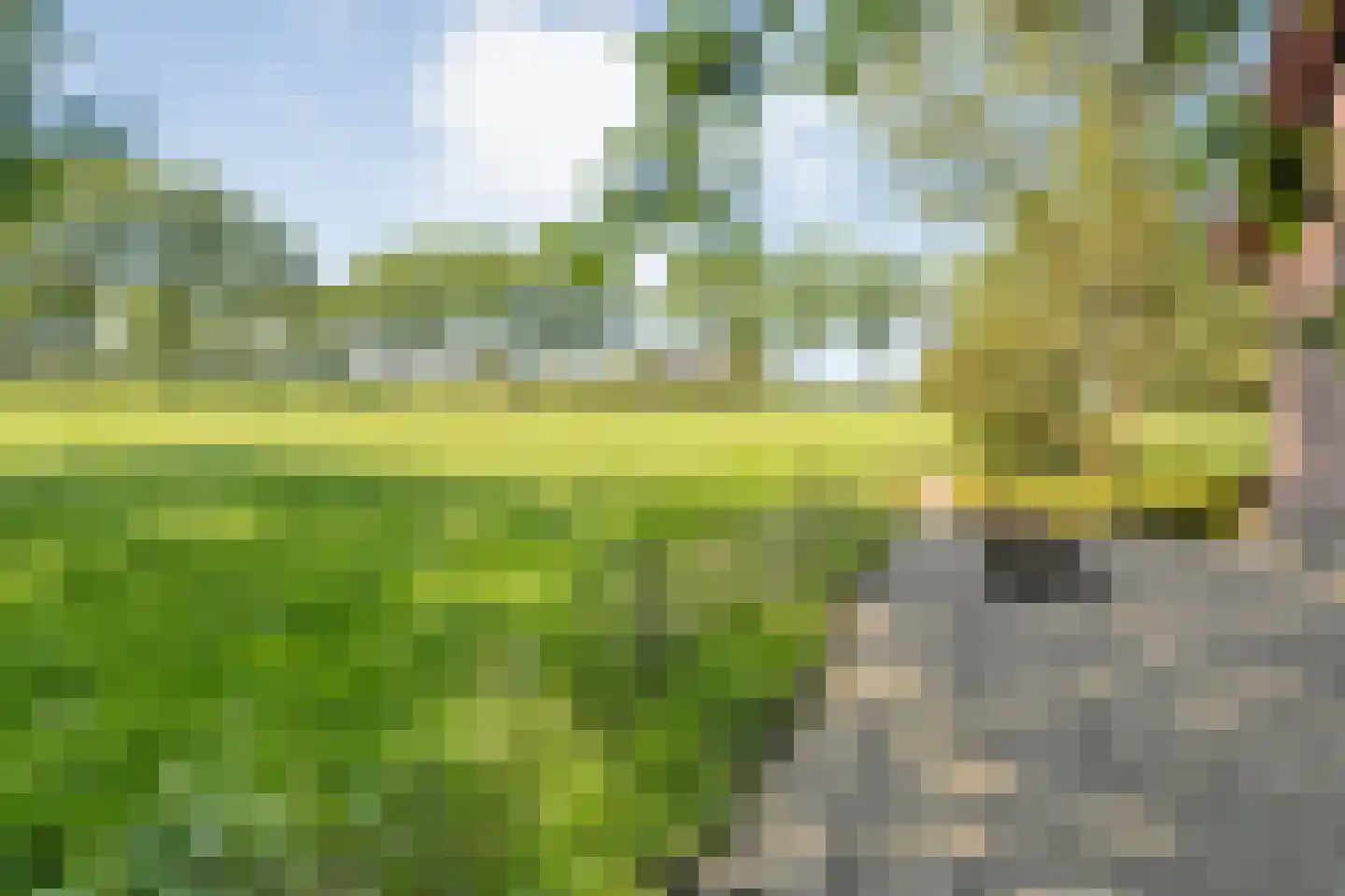 Haansweg 1 Raalte thumbnail 78