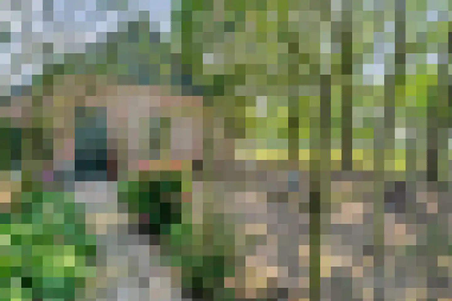 Haansweg 1 Raalte thumbnail 79