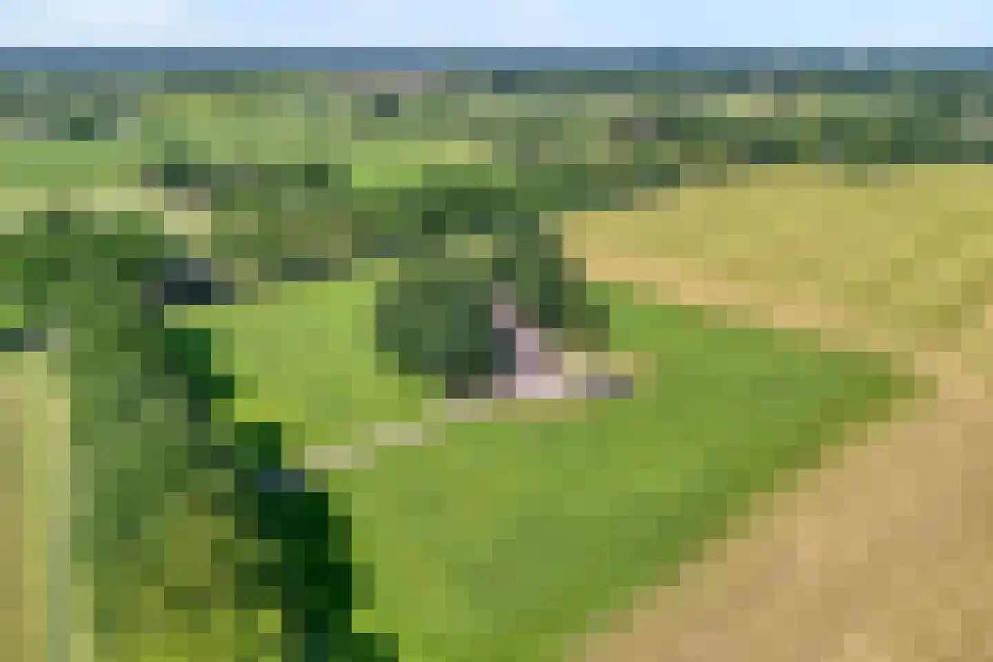Haansweg 1 Raalte thumbnail 8
