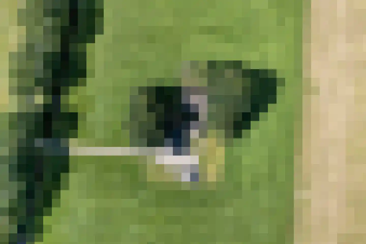 Haansweg 1 Raalte thumbnail 9