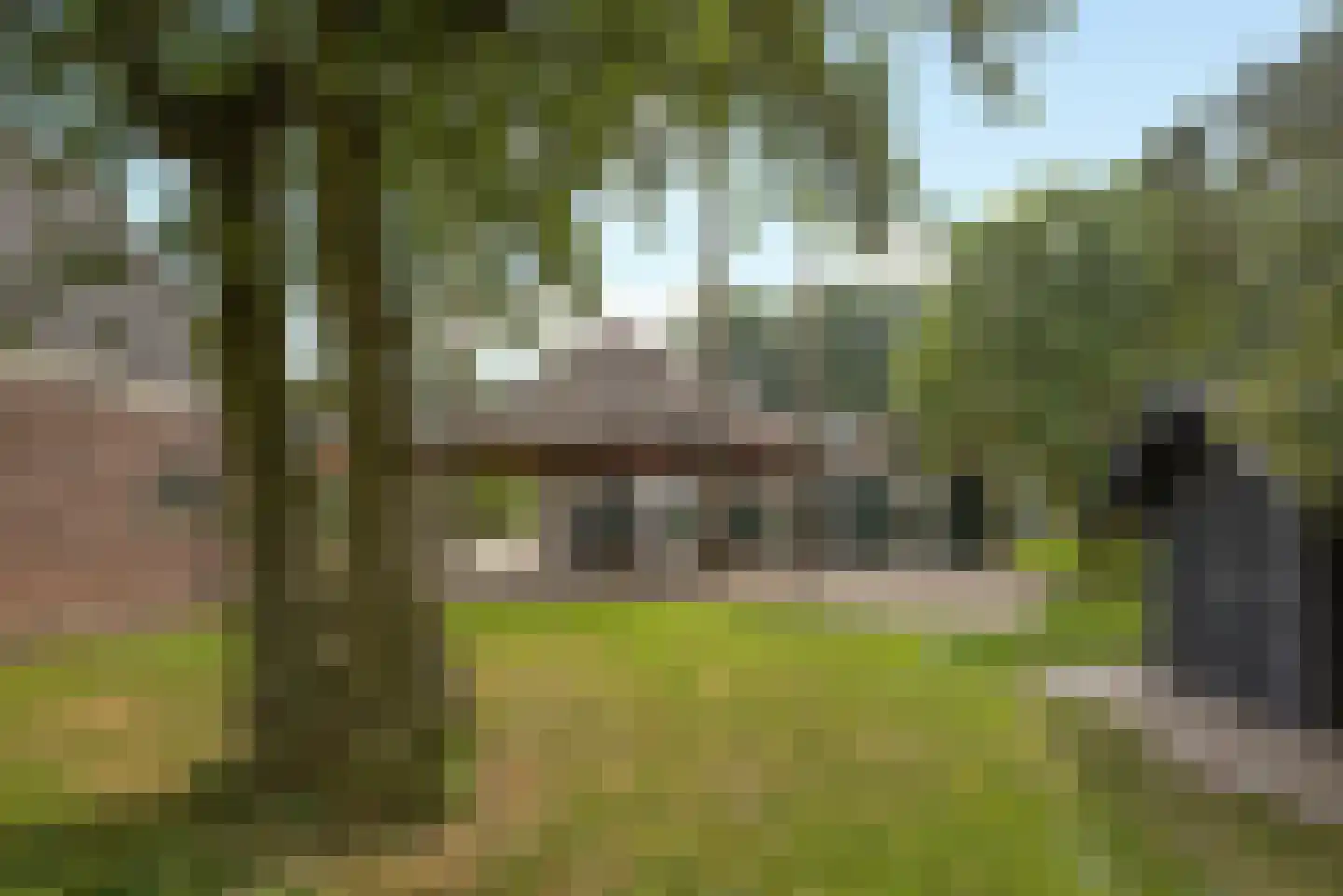 Haantje 11 Rijswijk thumbnail 100