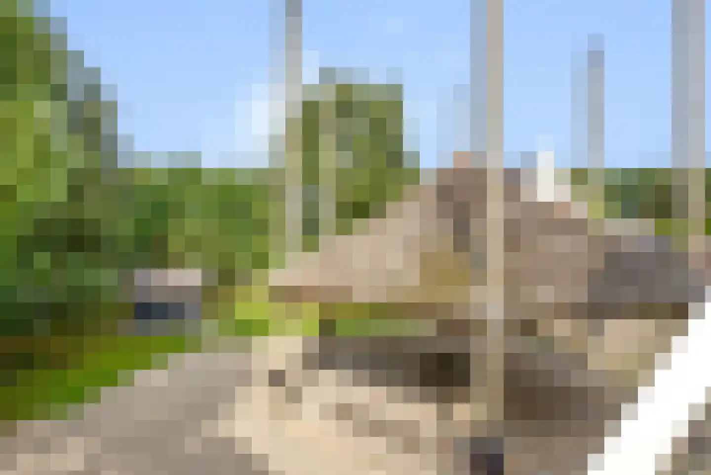Haantje 11 Rijswijk thumbnail 101