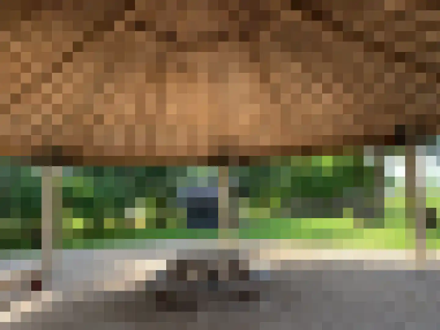 Haantje 11 Rijswijk thumbnail 102