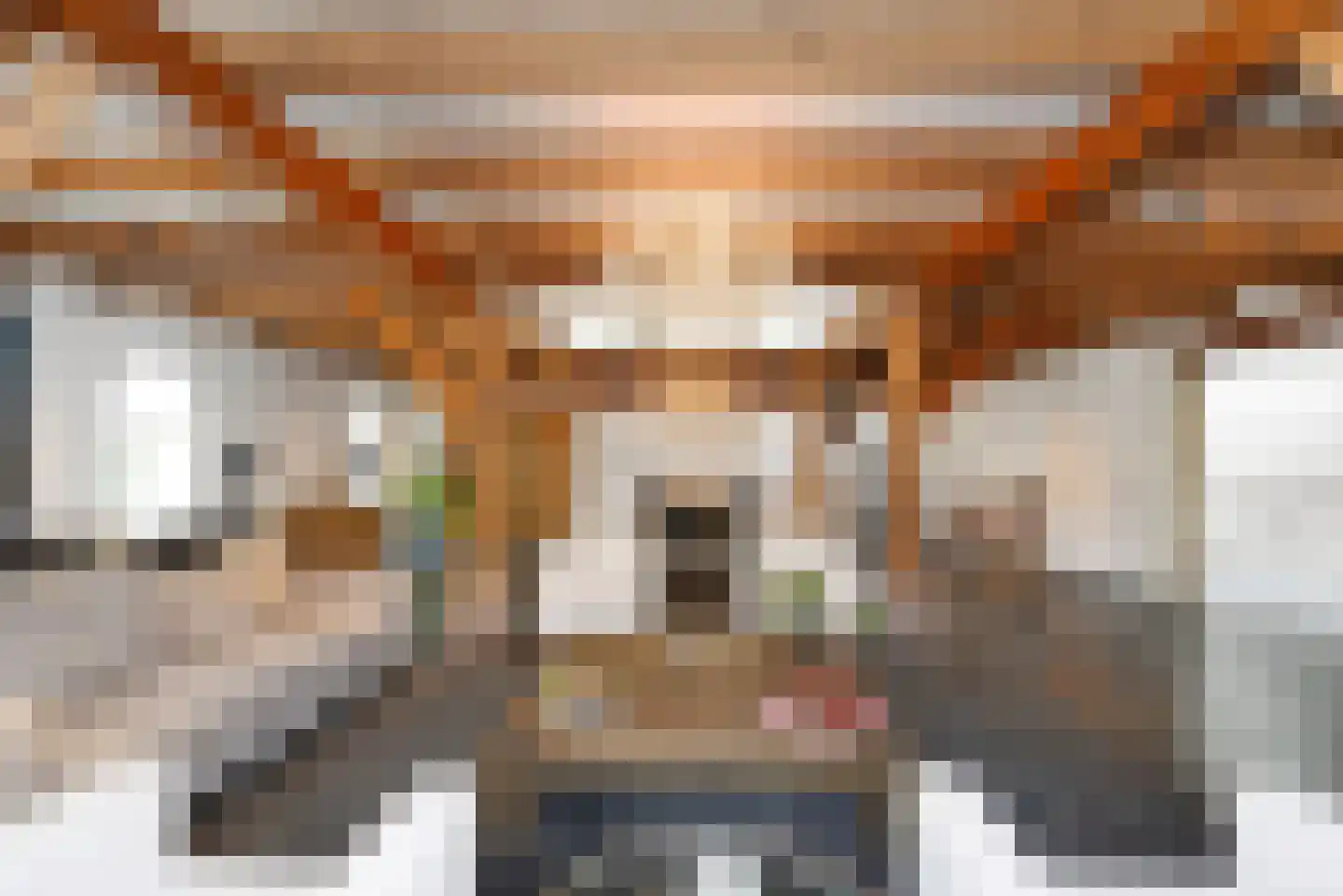 Haantje 11 Rijswijk thumbnail 11