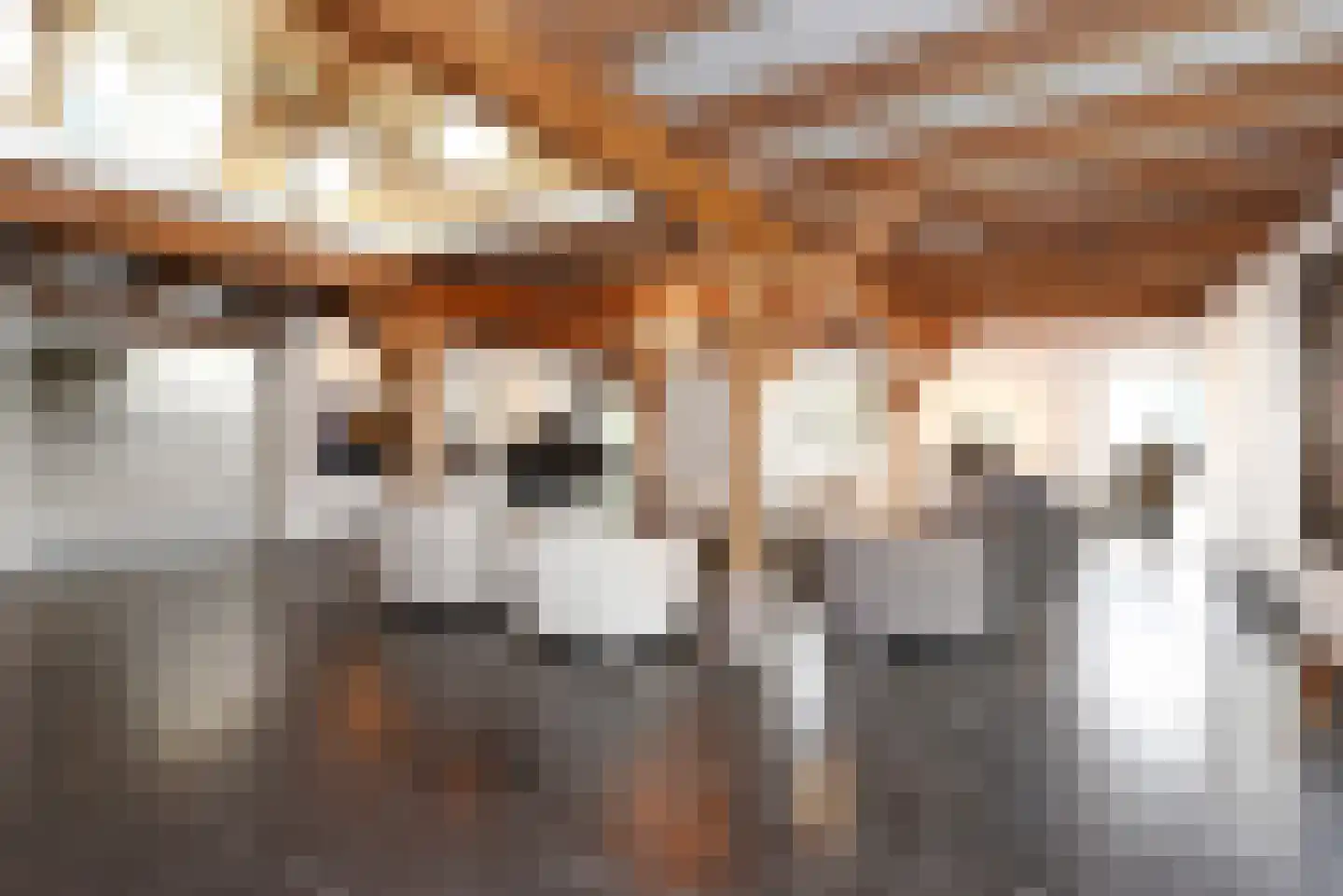 Haantje 11 Rijswijk thumbnail 12