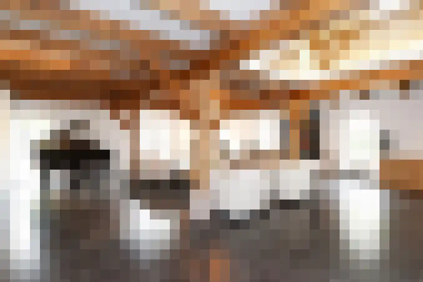 Haantje 11 Rijswijk thumbnail 13