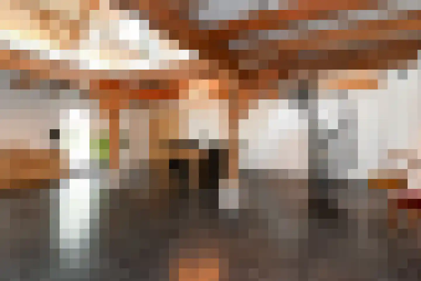 Haantje 11 Rijswijk thumbnail 14