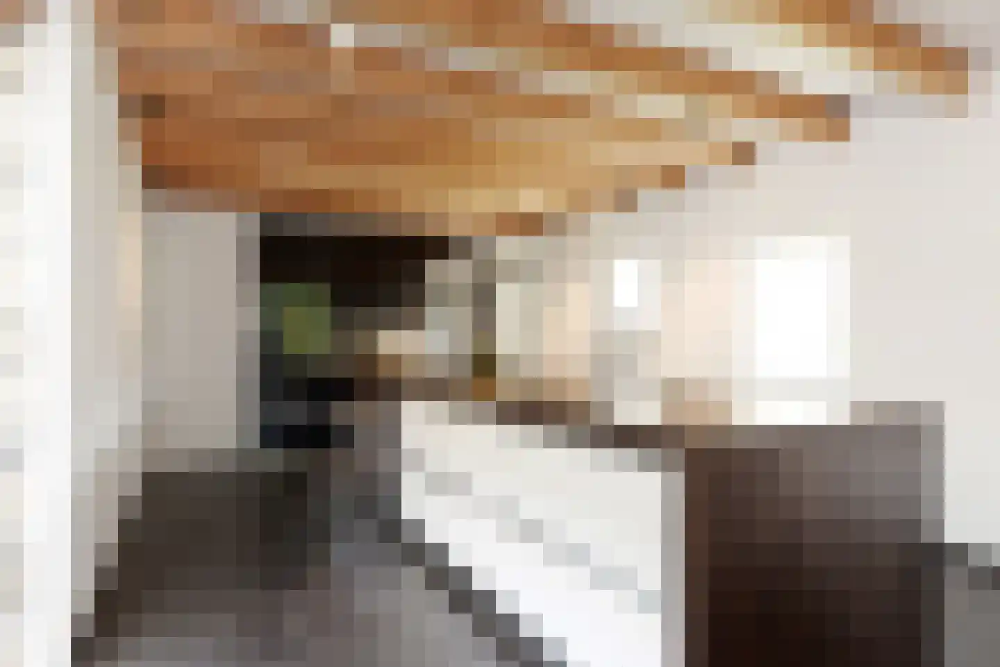 Haantje 11 Rijswijk thumbnail 18