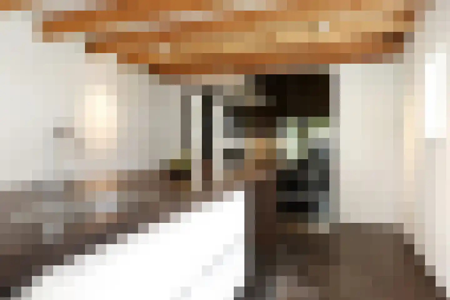 Haantje 11 Rijswijk thumbnail 19
