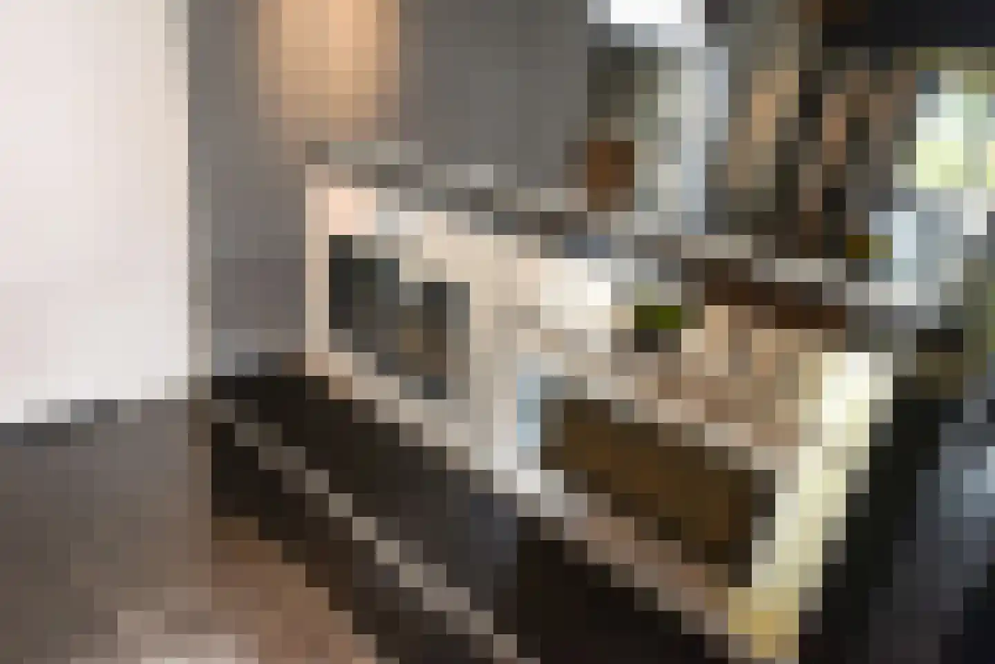 Haantje 11 Rijswijk thumbnail 20