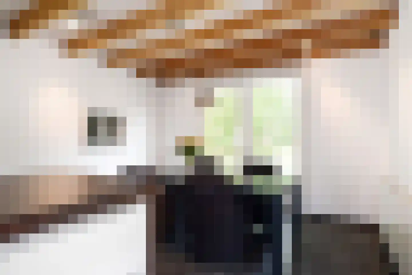 Haantje 11 Rijswijk thumbnail 21