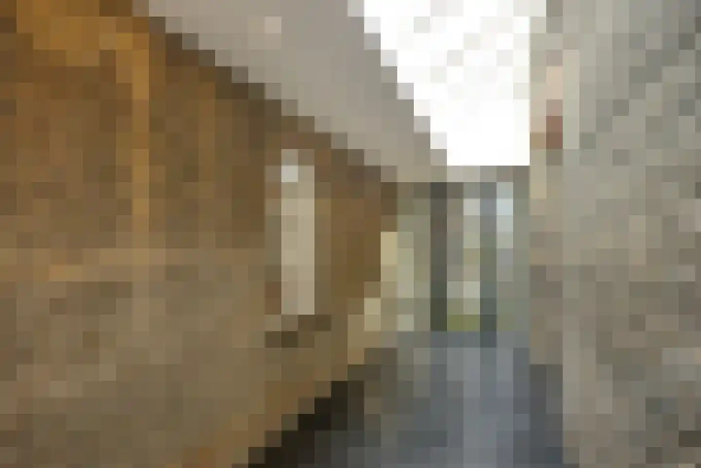 Haantje 11 Rijswijk thumbnail 22
