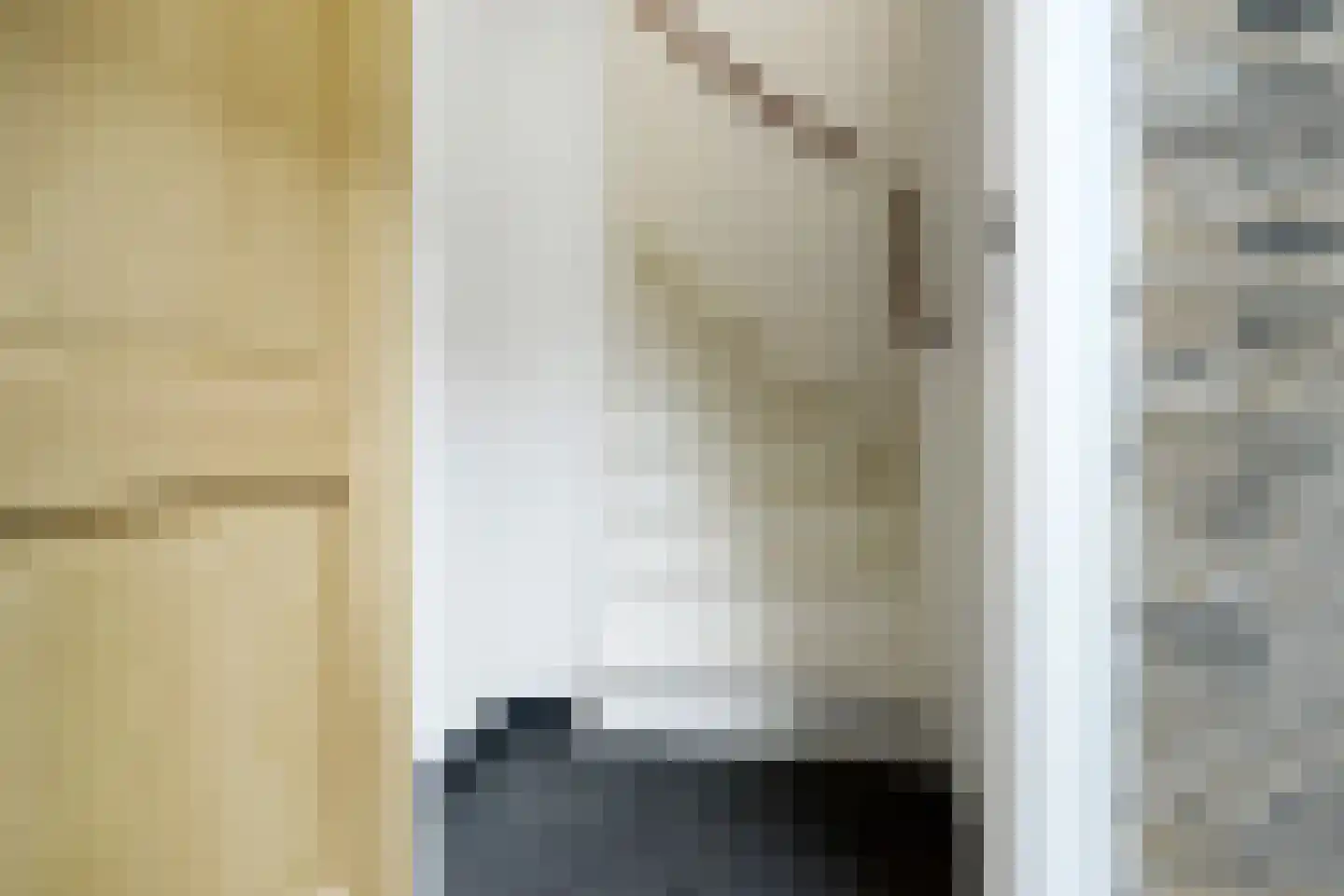 Haantje 11 Rijswijk thumbnail 23