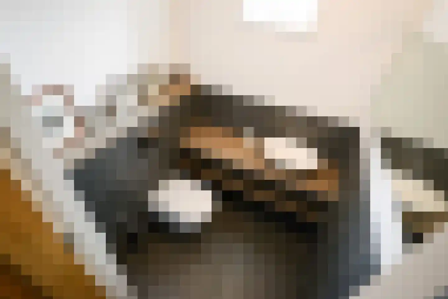Haantje 11 Rijswijk thumbnail 24
