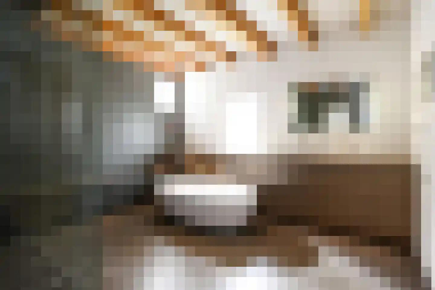 Haantje 11 Rijswijk thumbnail 26