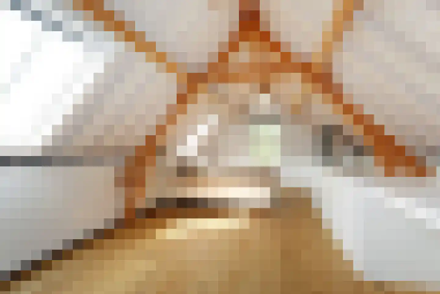Haantje 11 Rijswijk thumbnail 30
