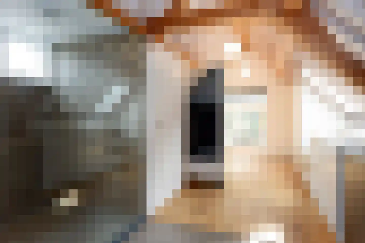 Haantje 11 Rijswijk thumbnail 32