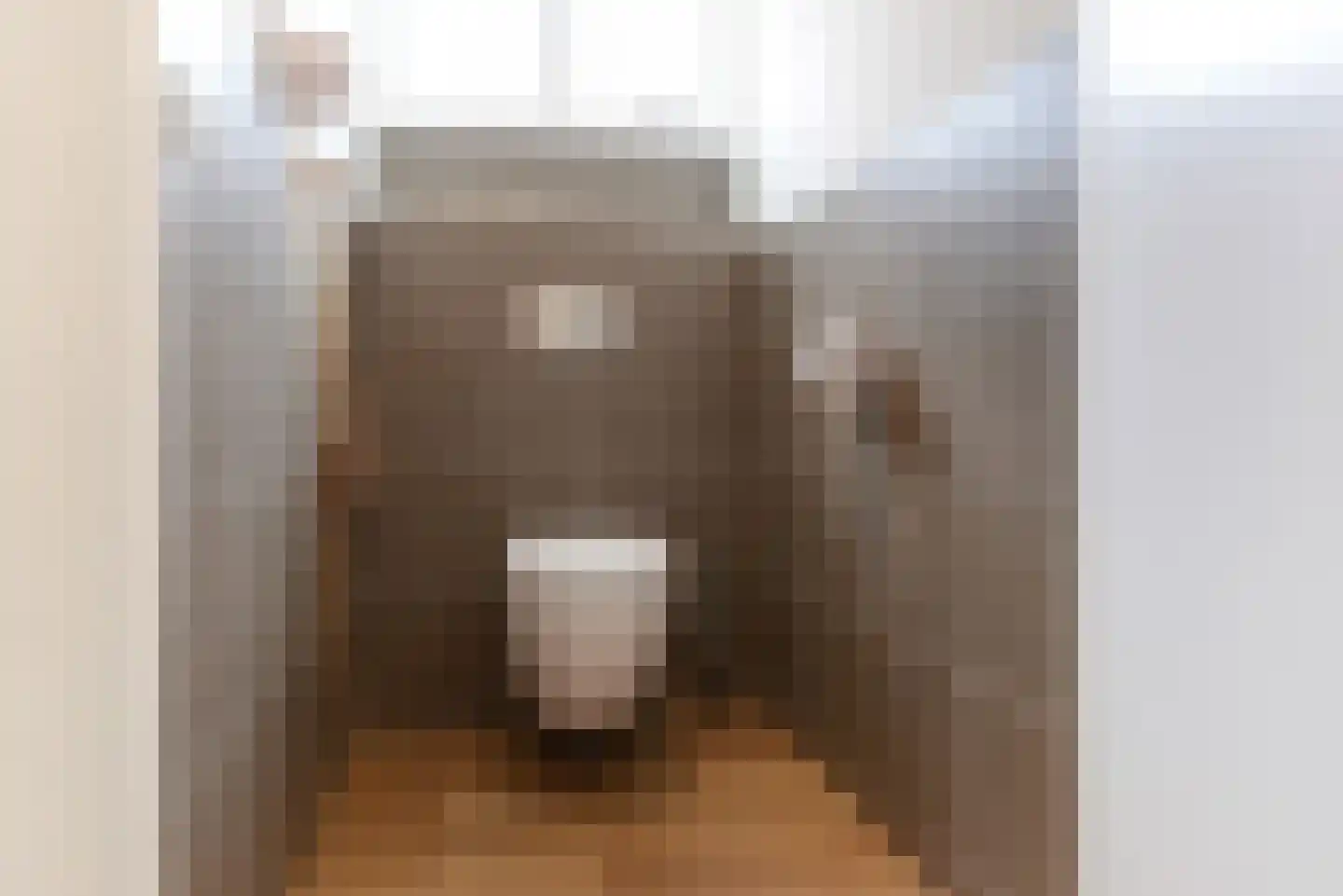 Haantje 11 Rijswijk thumbnail 33