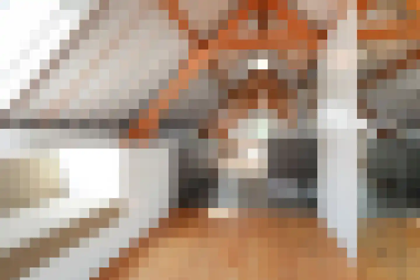Haantje 11 Rijswijk thumbnail 34
