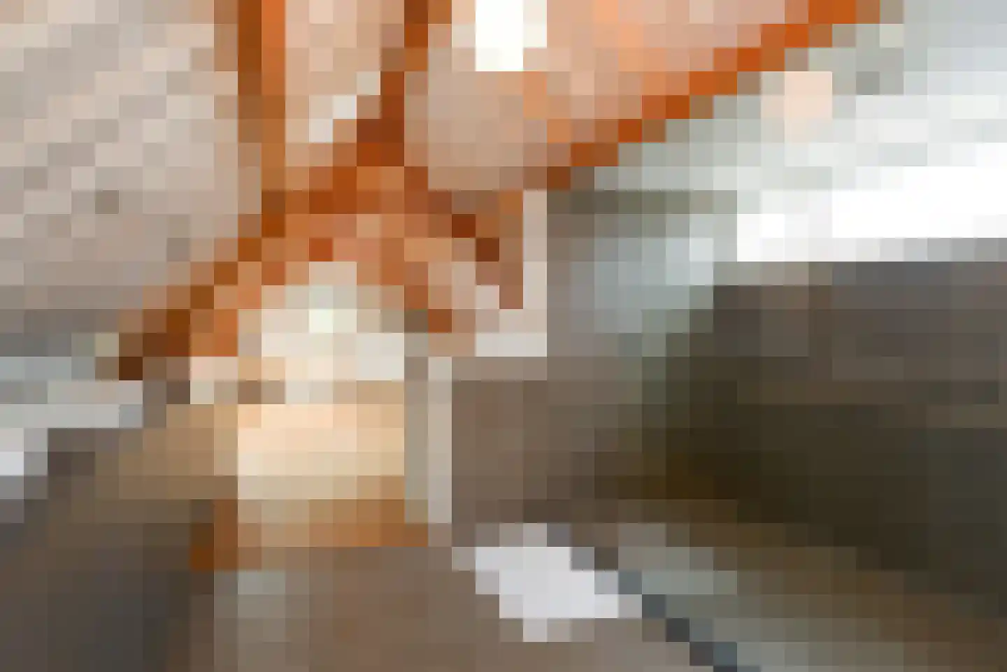 Haantje 11 Rijswijk thumbnail 36