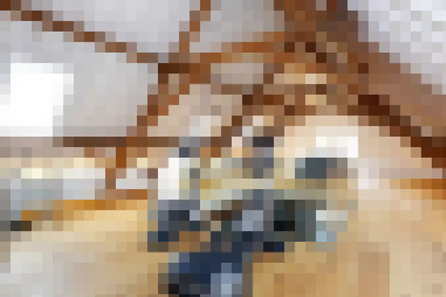 Haantje 11 Rijswijk thumbnail 38