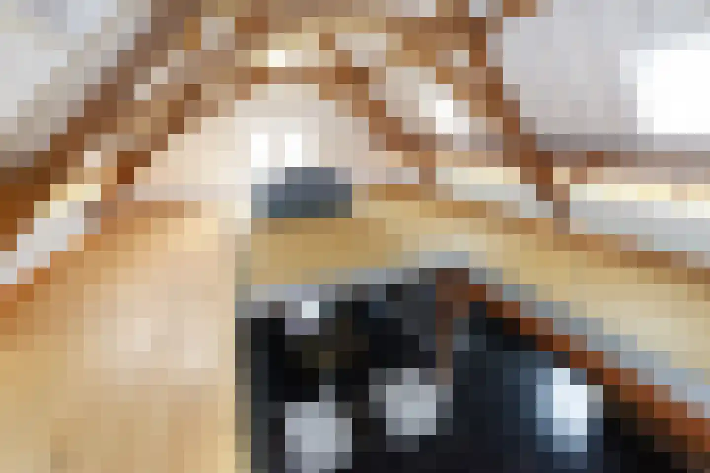 Haantje 11 Rijswijk thumbnail 39