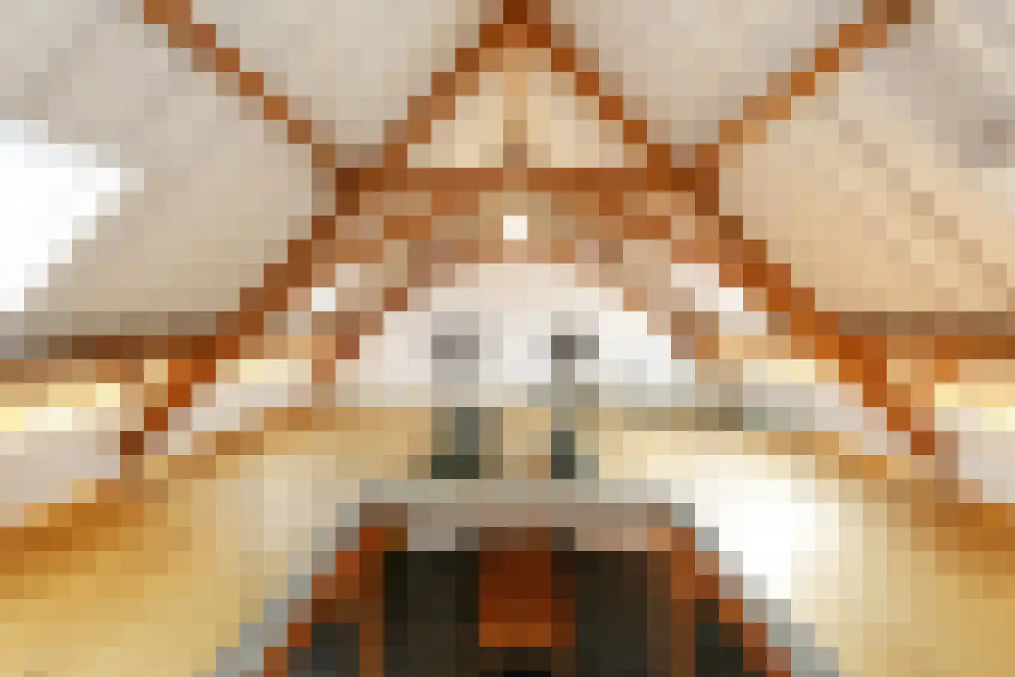 Haantje 11 Rijswijk thumbnail 41
