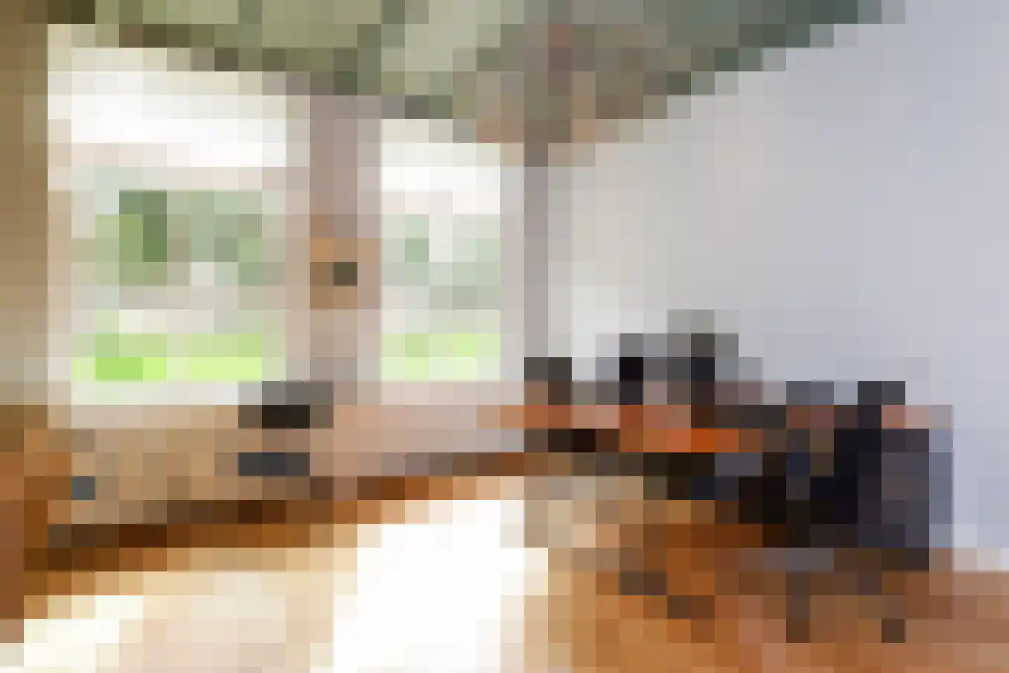Haantje 11 Rijswijk thumbnail 48