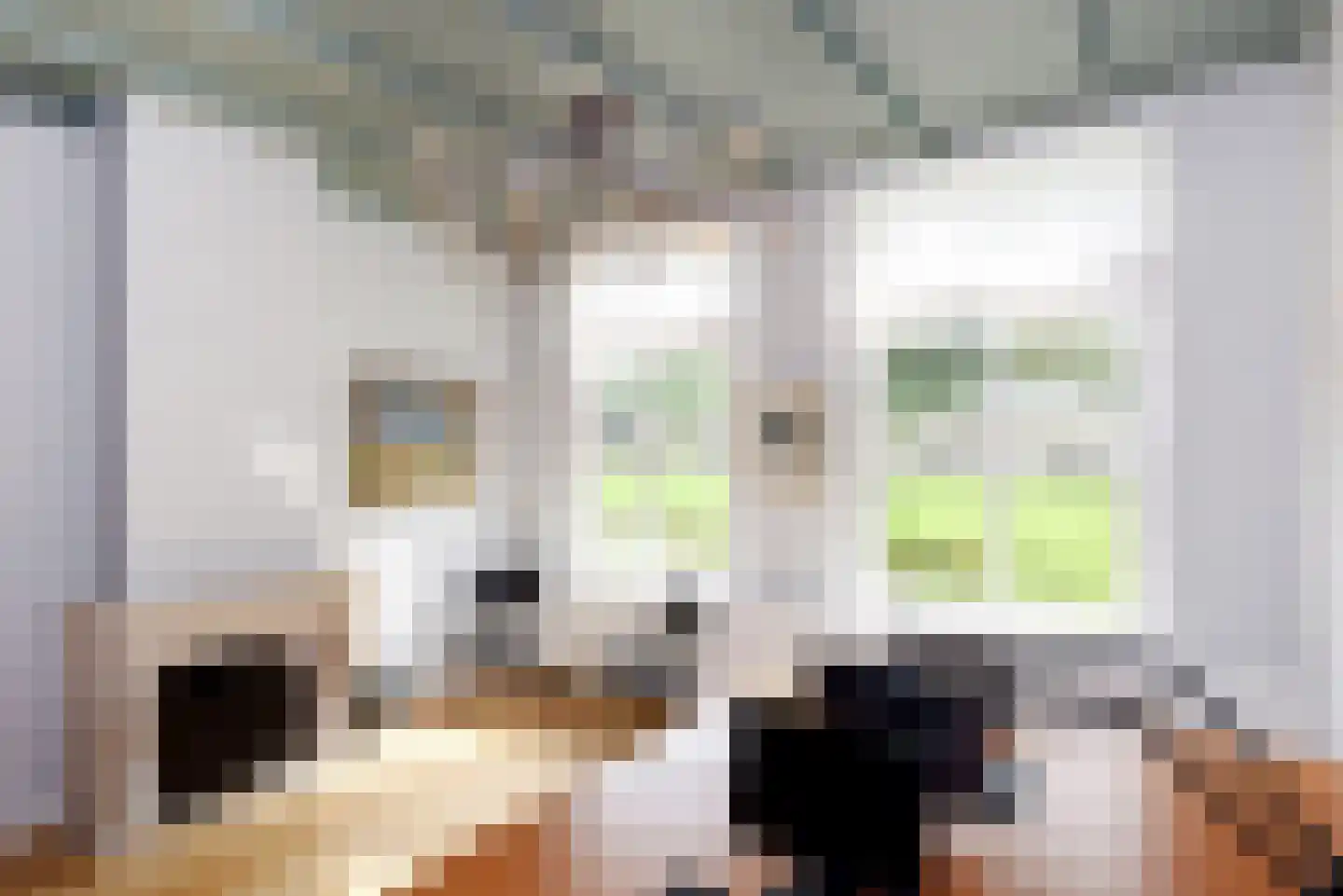 Haantje 11 Rijswijk thumbnail 49