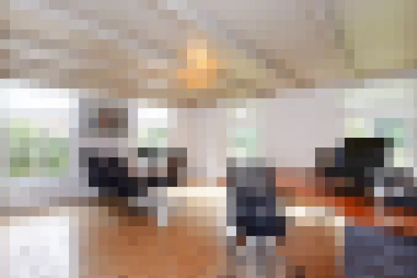 Haantje 11 Rijswijk thumbnail 52