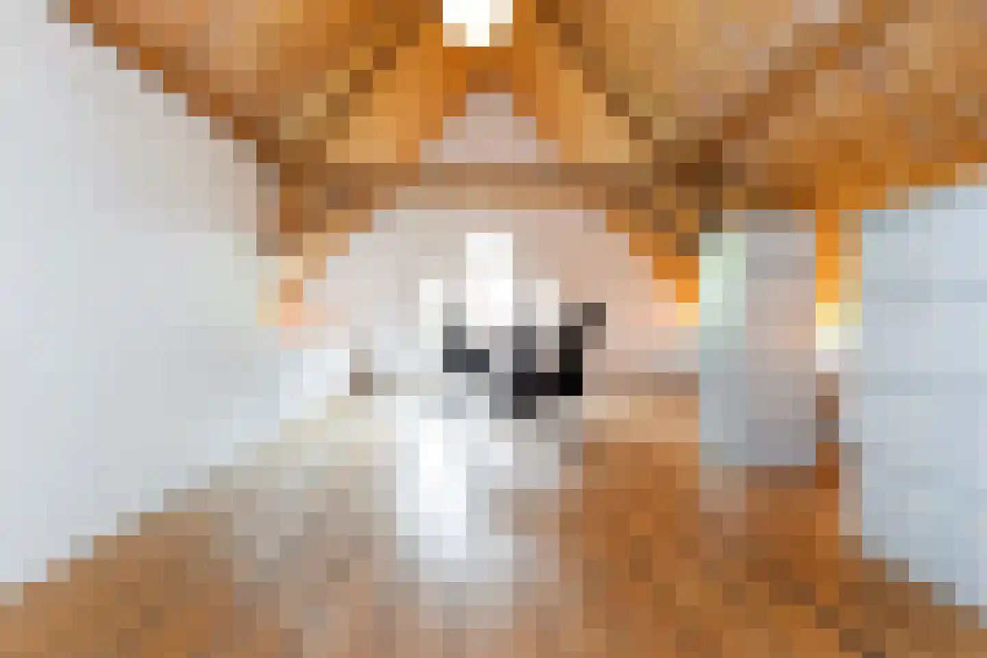 Haantje 11 Rijswijk thumbnail 53