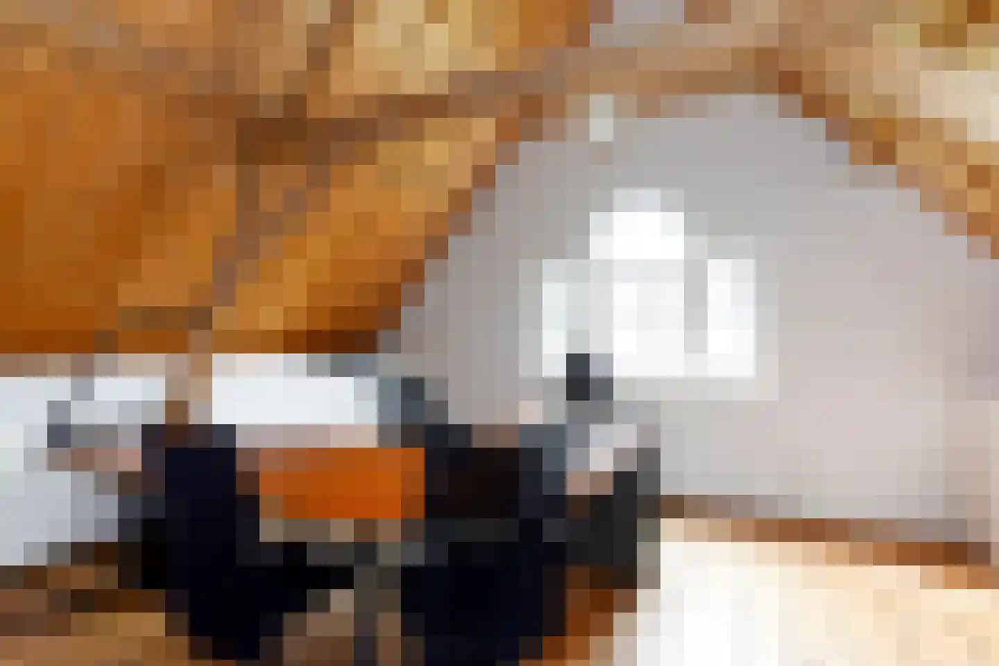 Haantje 11 Rijswijk thumbnail 55