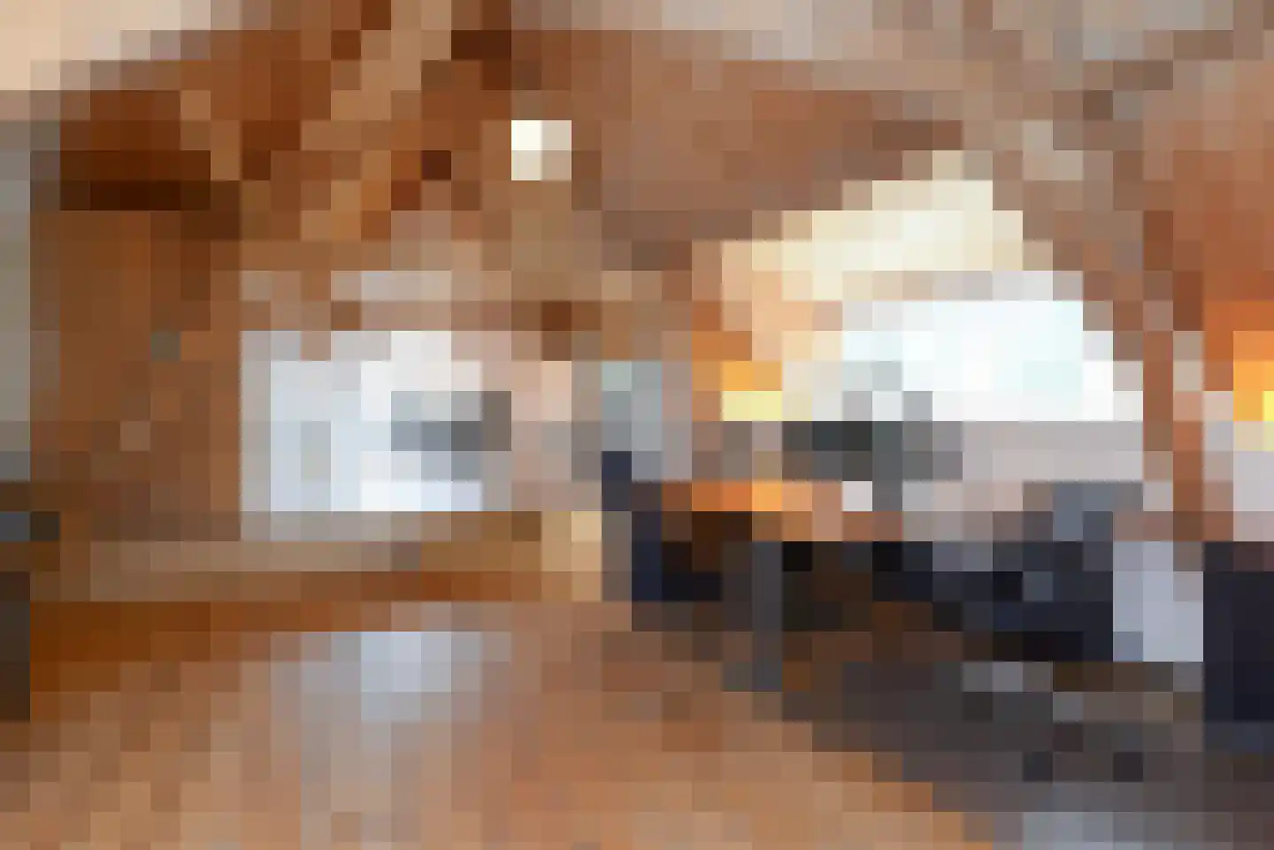Haantje 11 Rijswijk thumbnail 56
