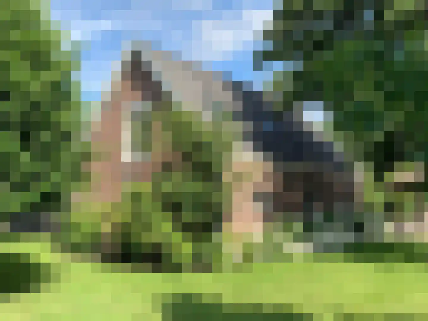 Haantje 11 Rijswijk thumbnail 64