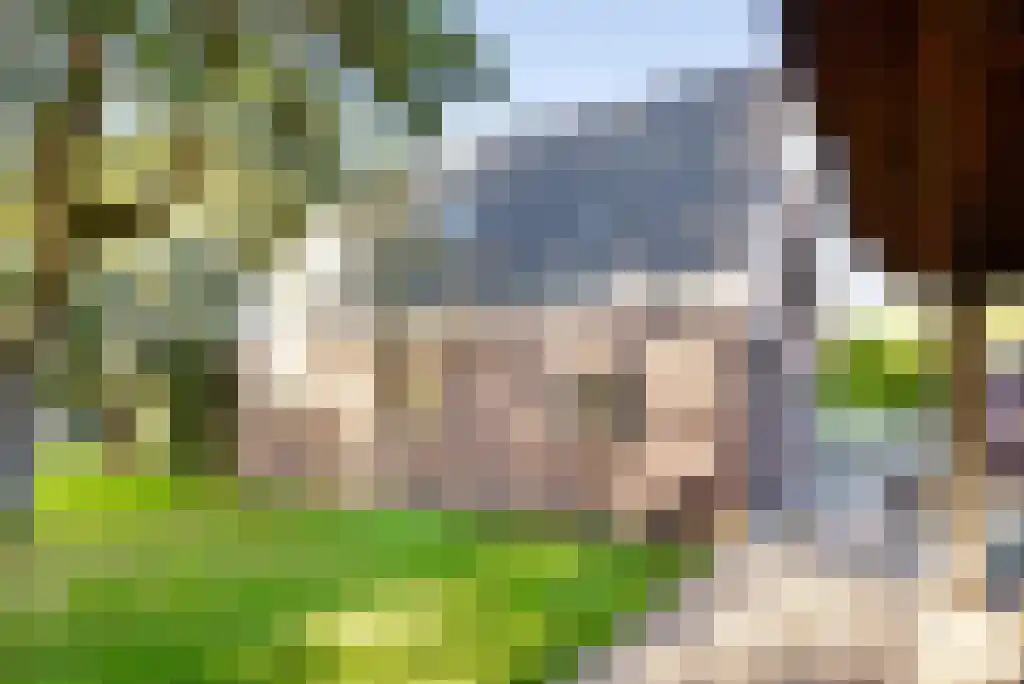 Haantje 11 Rijswijk thumbnail 65
