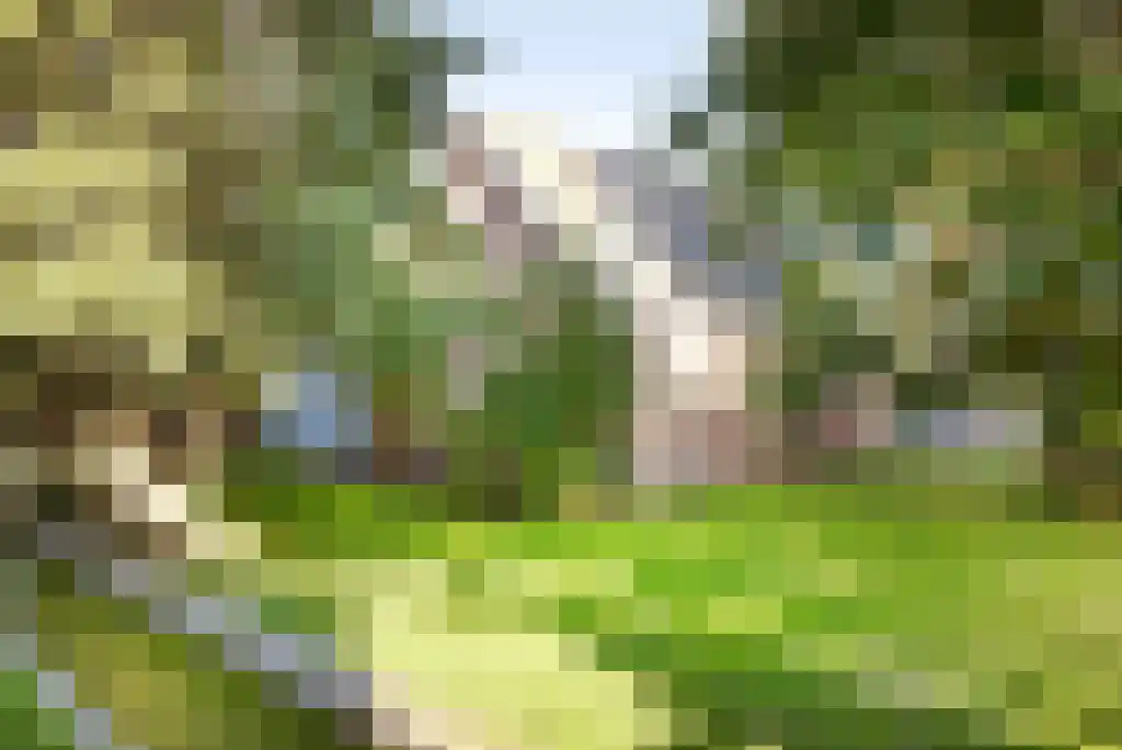 Haantje 11 Rijswijk thumbnail 67