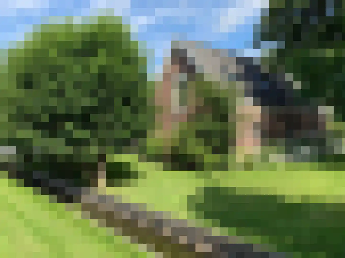 Haantje 11 Rijswijk thumbnail 68