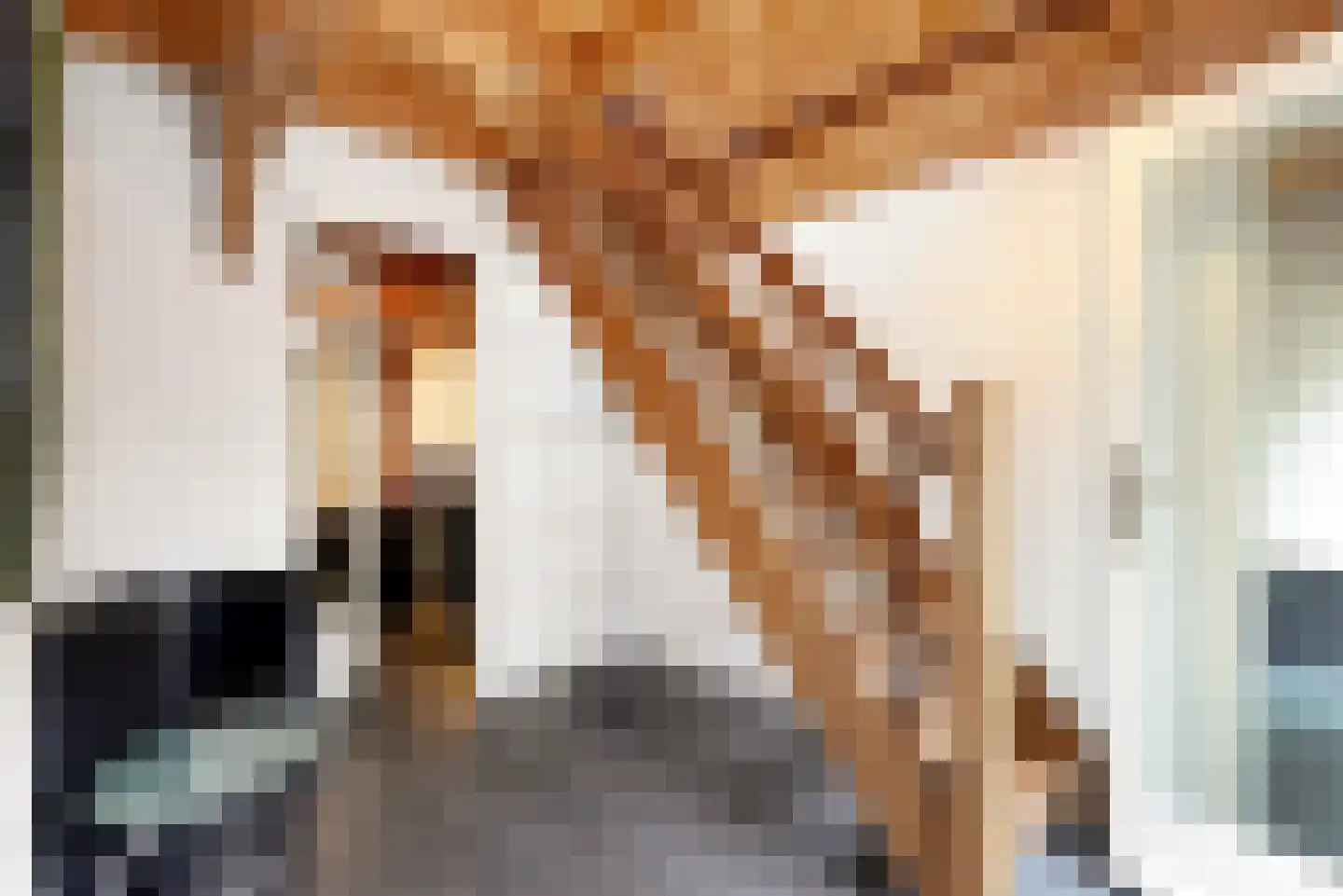 Haantje 11 Rijswijk thumbnail 70