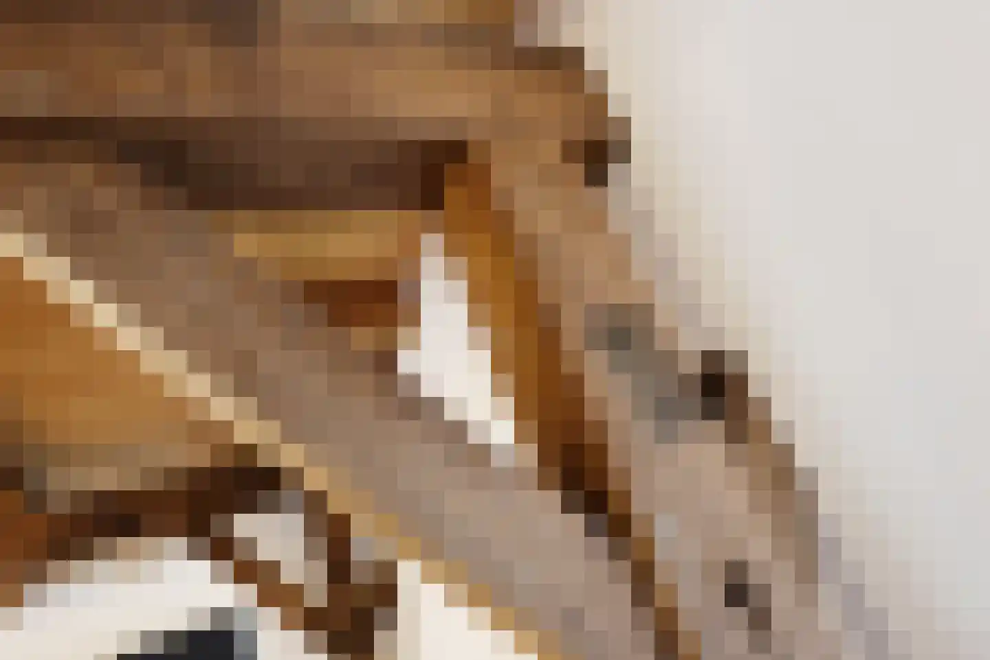 Haantje 11 Rijswijk thumbnail 78