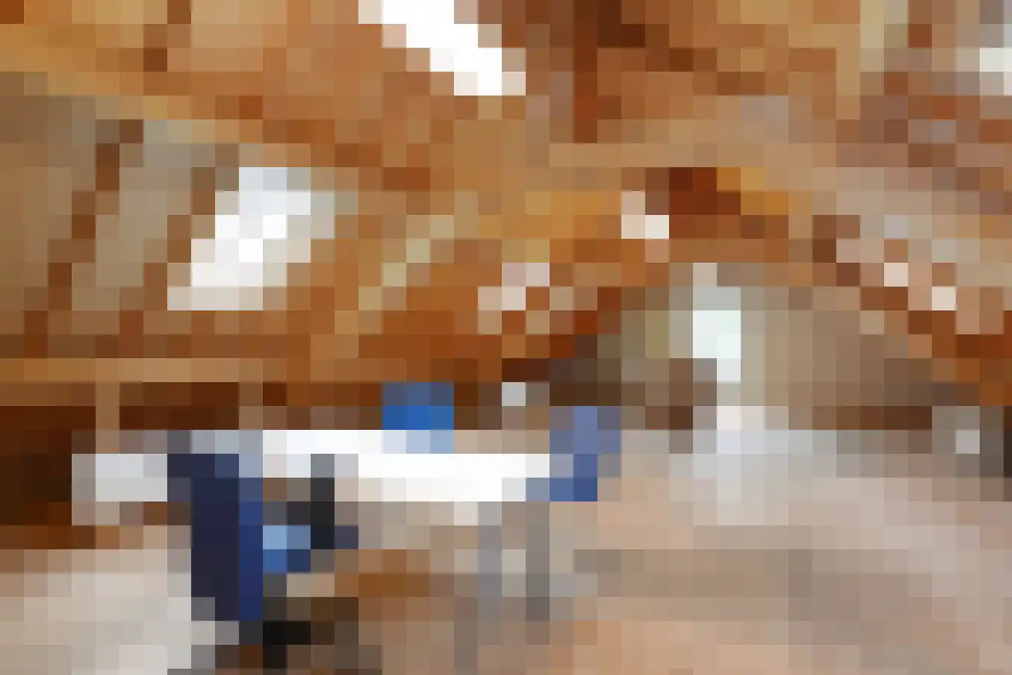 Haantje 11 Rijswijk thumbnail 81