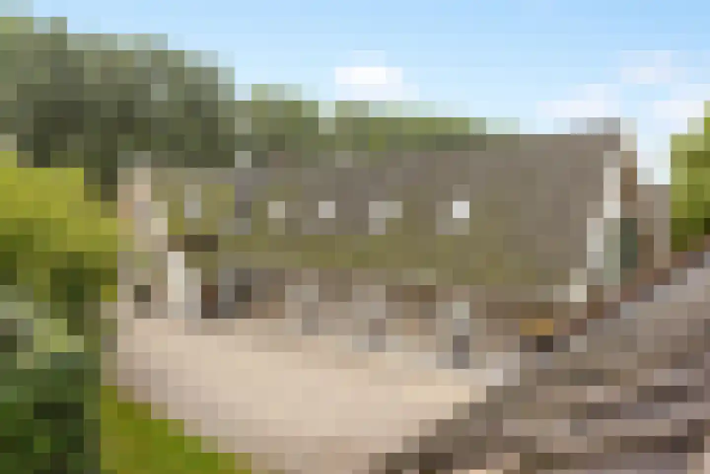 Haantje 11 Rijswijk thumbnail 82