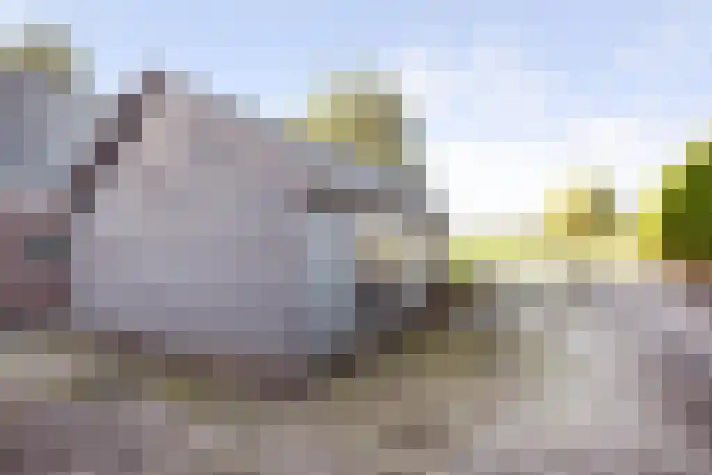 Haantje 11 Rijswijk thumbnail 84