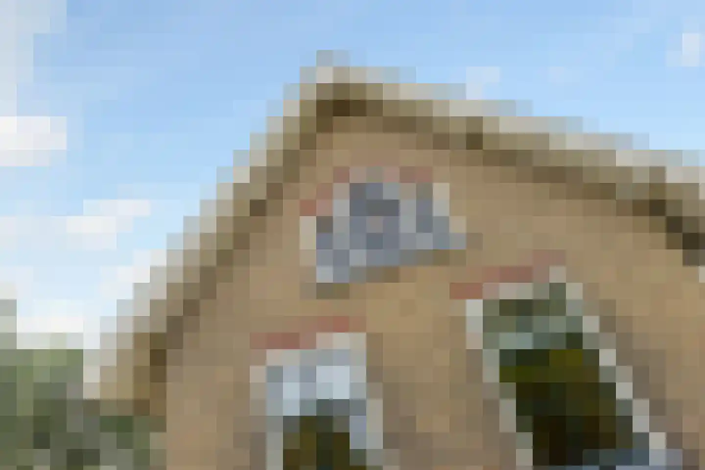 Haantje 11 Rijswijk thumbnail 9