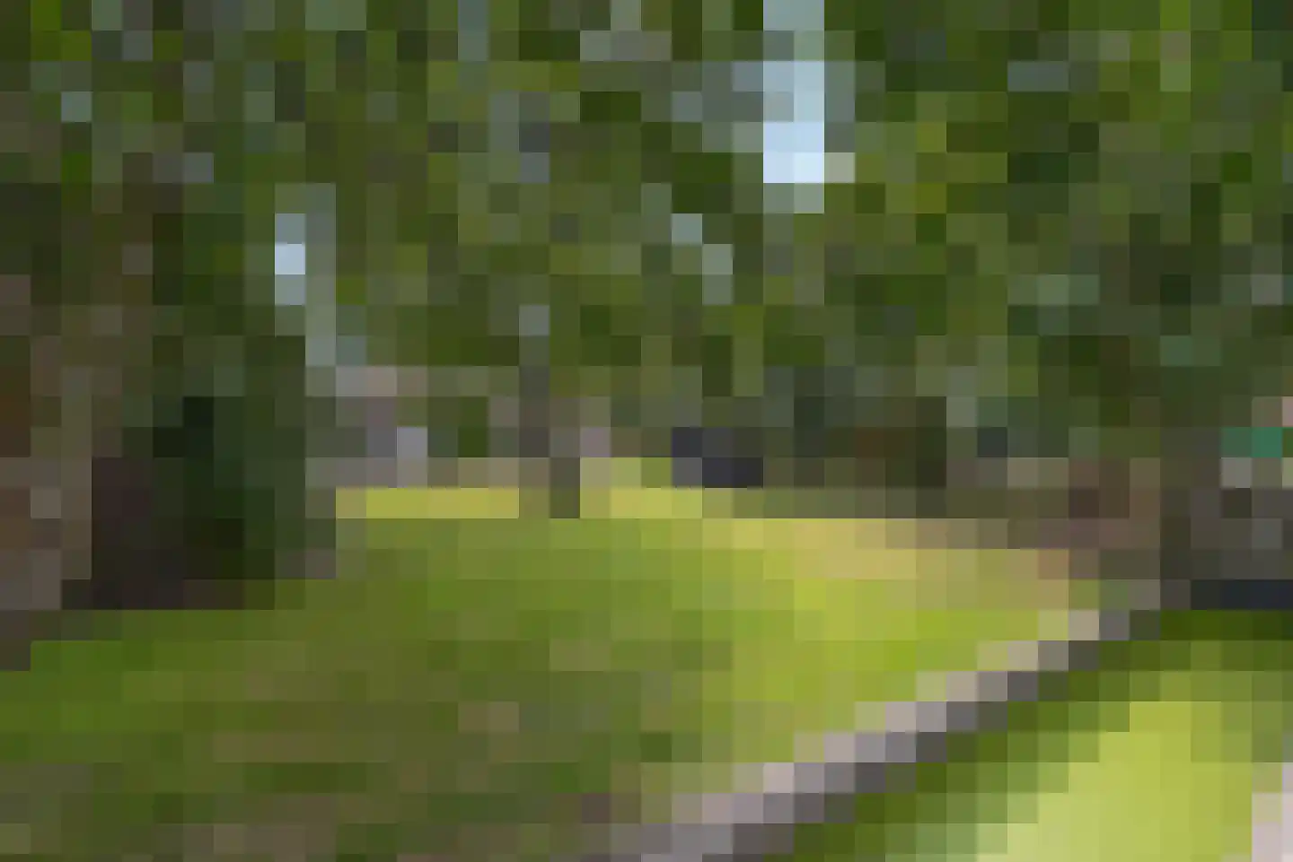 Haantje 11 Rijswijk thumbnail 91